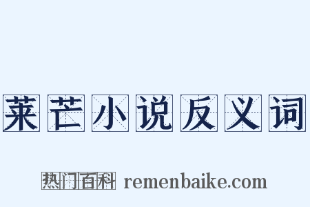 莱芒小说反义词是什么意思的图片